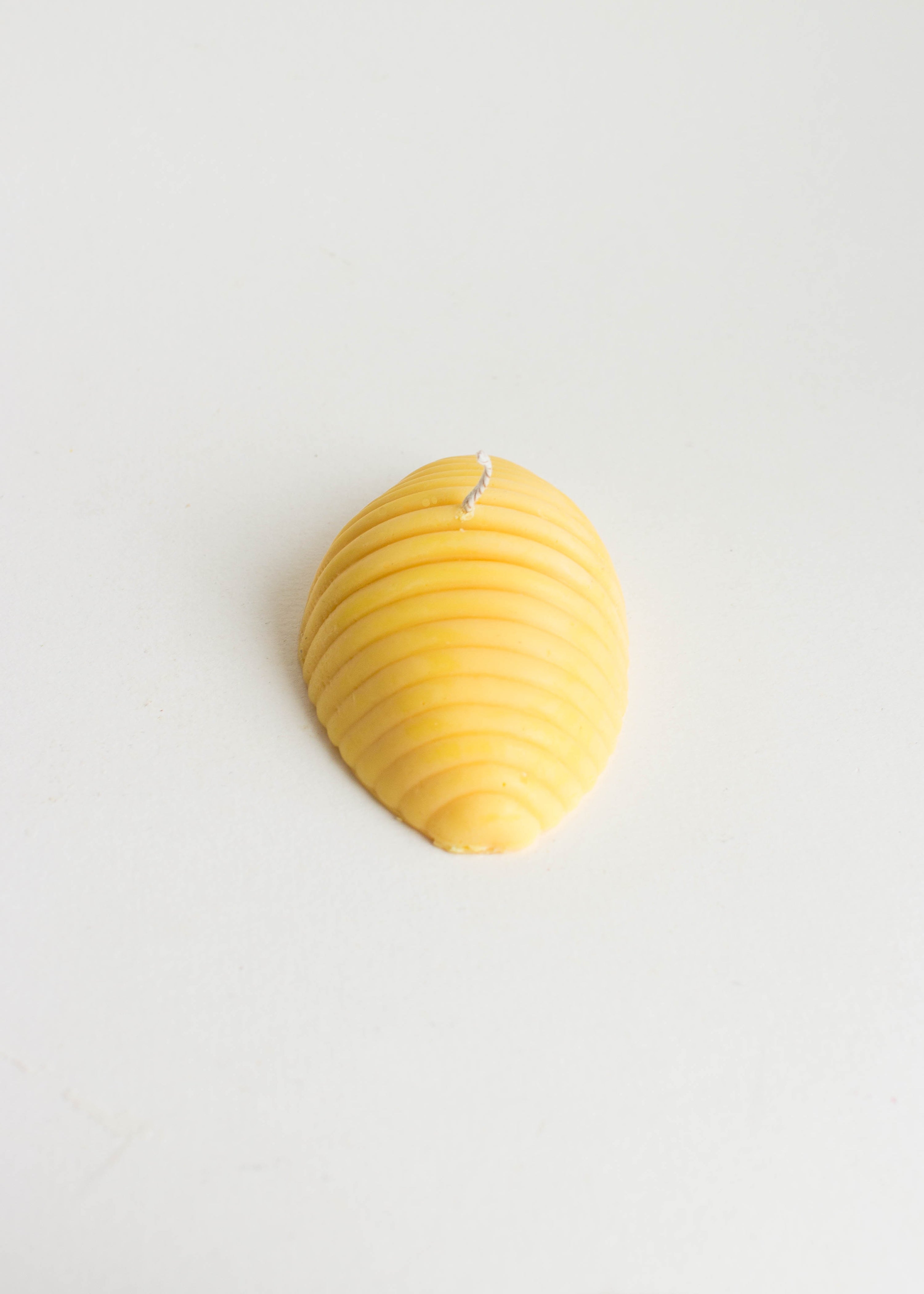 Conchiglie Candle